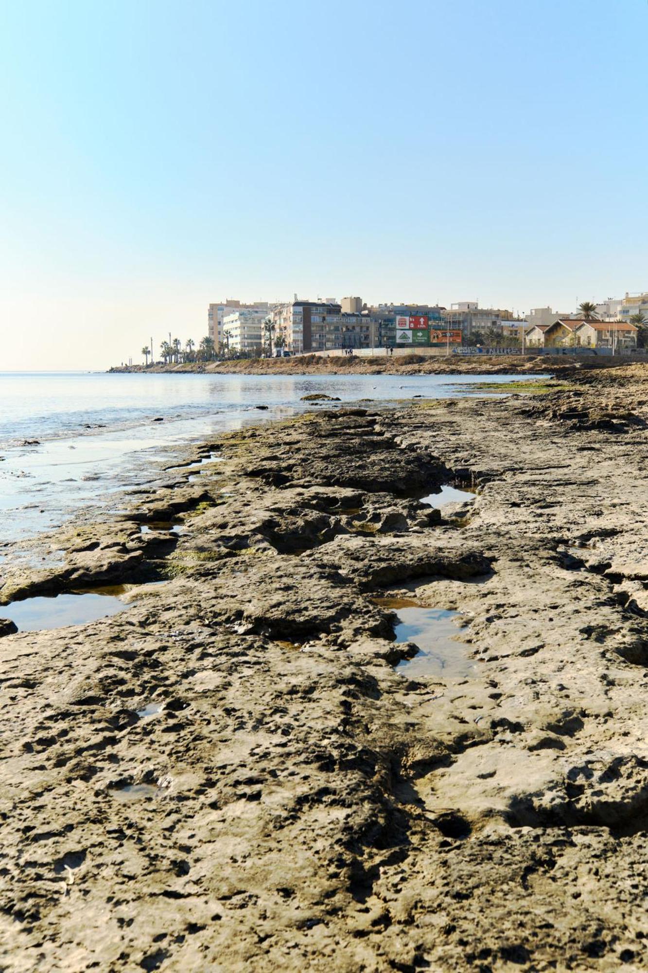 Espanhouse Bogdan Torrevieja Dış mekan fotoğraf